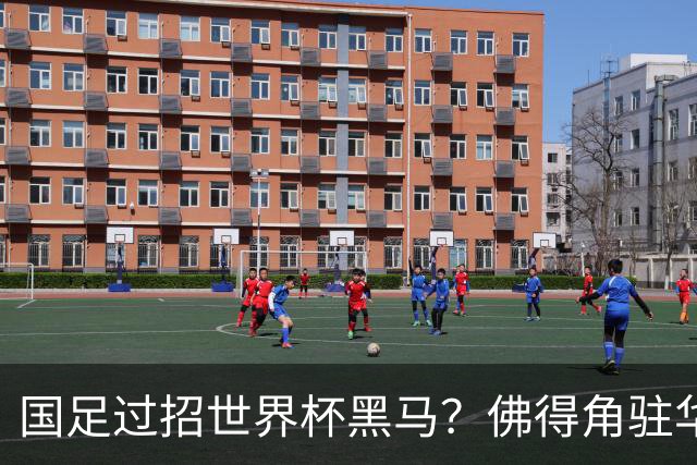 国足过招世界杯黑马？佛得角驻华大使：期待国家队来中国踢一场球