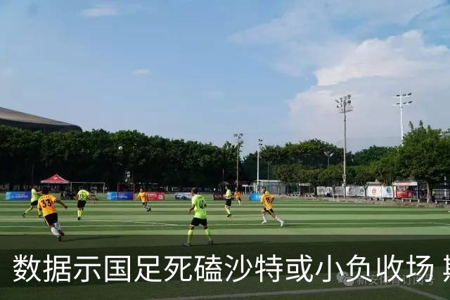 数据示国足死磕沙特或小负收场 期待平局奇迹