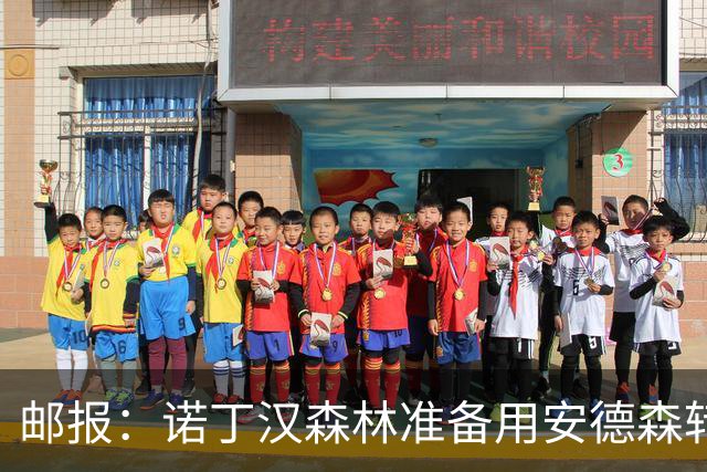 邮报：诺丁汉森林准备用安德森转会费引援，补强锋线和中场