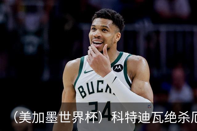 （美加墨世界杯）科特迪瓦绝杀厄瓜多尔 瑞典5:1大胜突尼斯